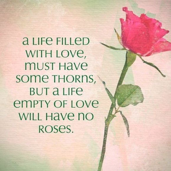 🌸🌸🌸FOLLOW GAME: Like 🌸Follow🌸Share🌸🌸 - Picture 3 of 3